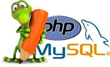 Stages PHP MySQL